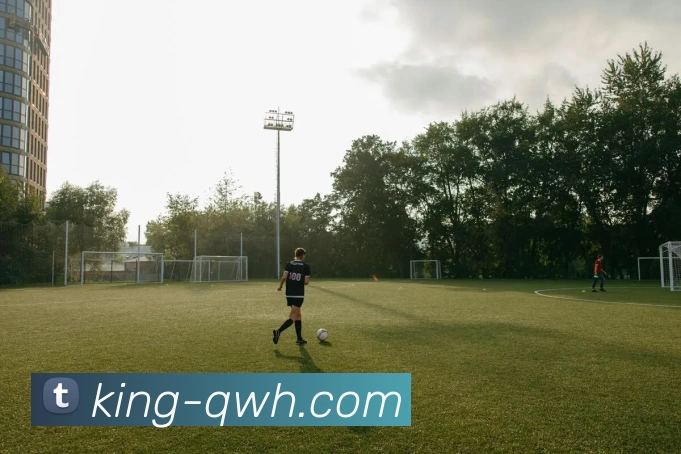 球王会官网平台生态图